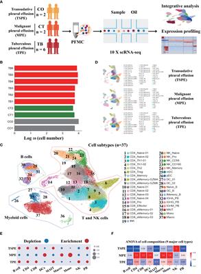 Single-cell profiling reveals distinct immune response landscapes in tuberculous pleural effusion and non-TPE